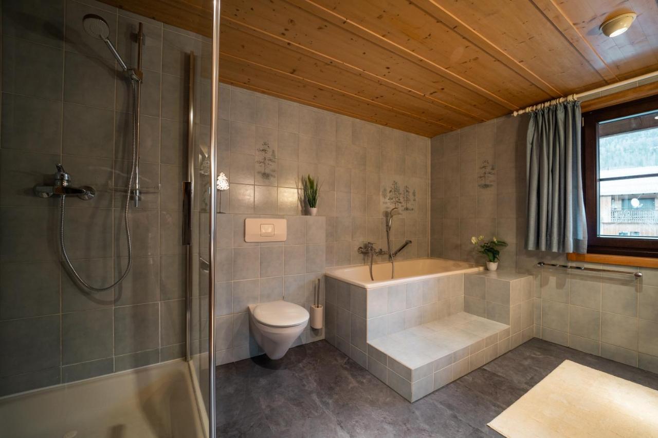 D'Alpenapartments بيزاو المظهر الخارجي الصورة