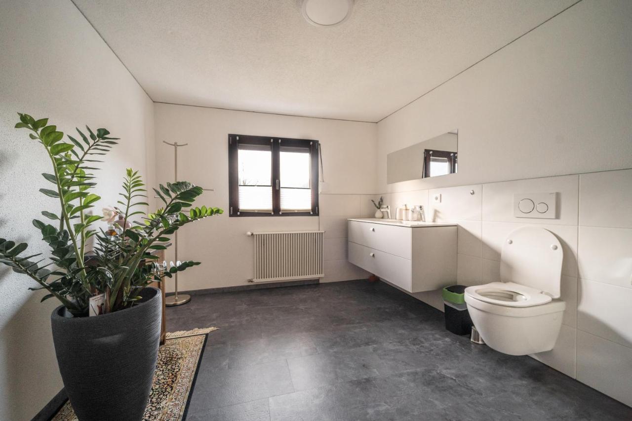 D'Alpenapartments بيزاو المظهر الخارجي الصورة